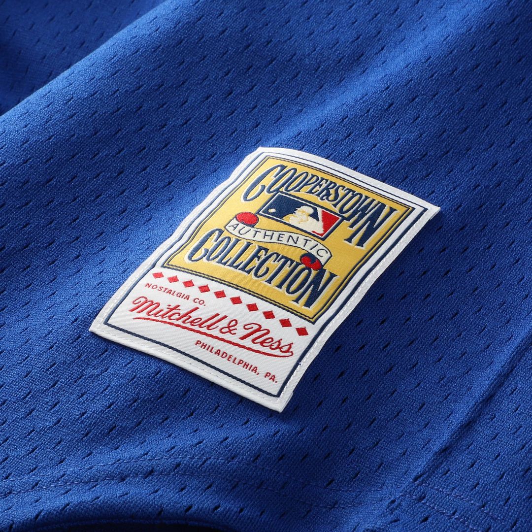 Seattle Mariners Ken Griffey Jr. Royal Authentic Batting Practice Baseball Jersey | MLB Baseball Jersey