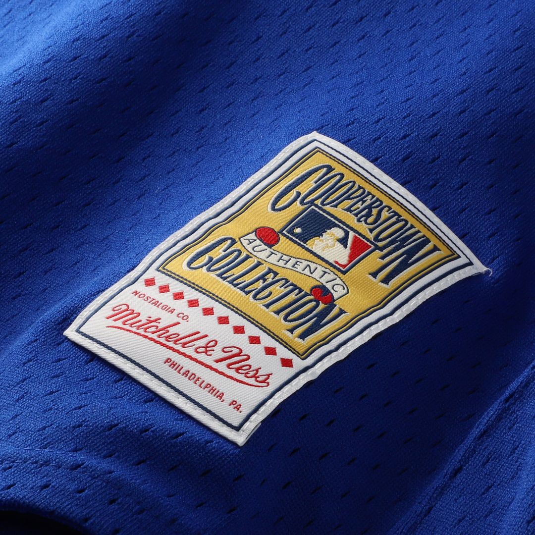Toronto Blue Jays Joe Carter Royal Authentic Batting Practice Baseball Jersey | MLB Baseball Jersey