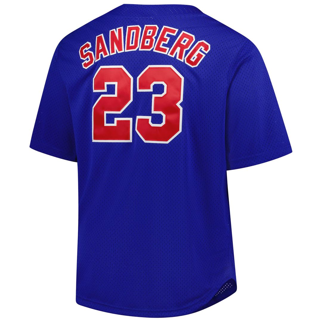 Chicago Cubs Ryne Sandberg Royal Big & Tall Cooperstown Mesh Batting Practice Baseball Jersey | MLB Baseball Jersey