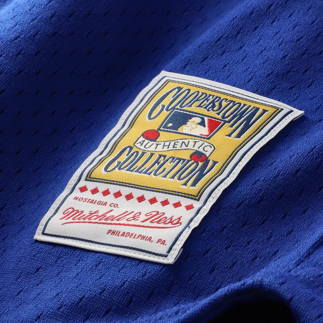 Chicago Cubs Ryne Sandberg Royal Cooperstown Collection 1996 Mesh Batting Practice Button-Up Baseball Jersey | MLB Baseball Jersey