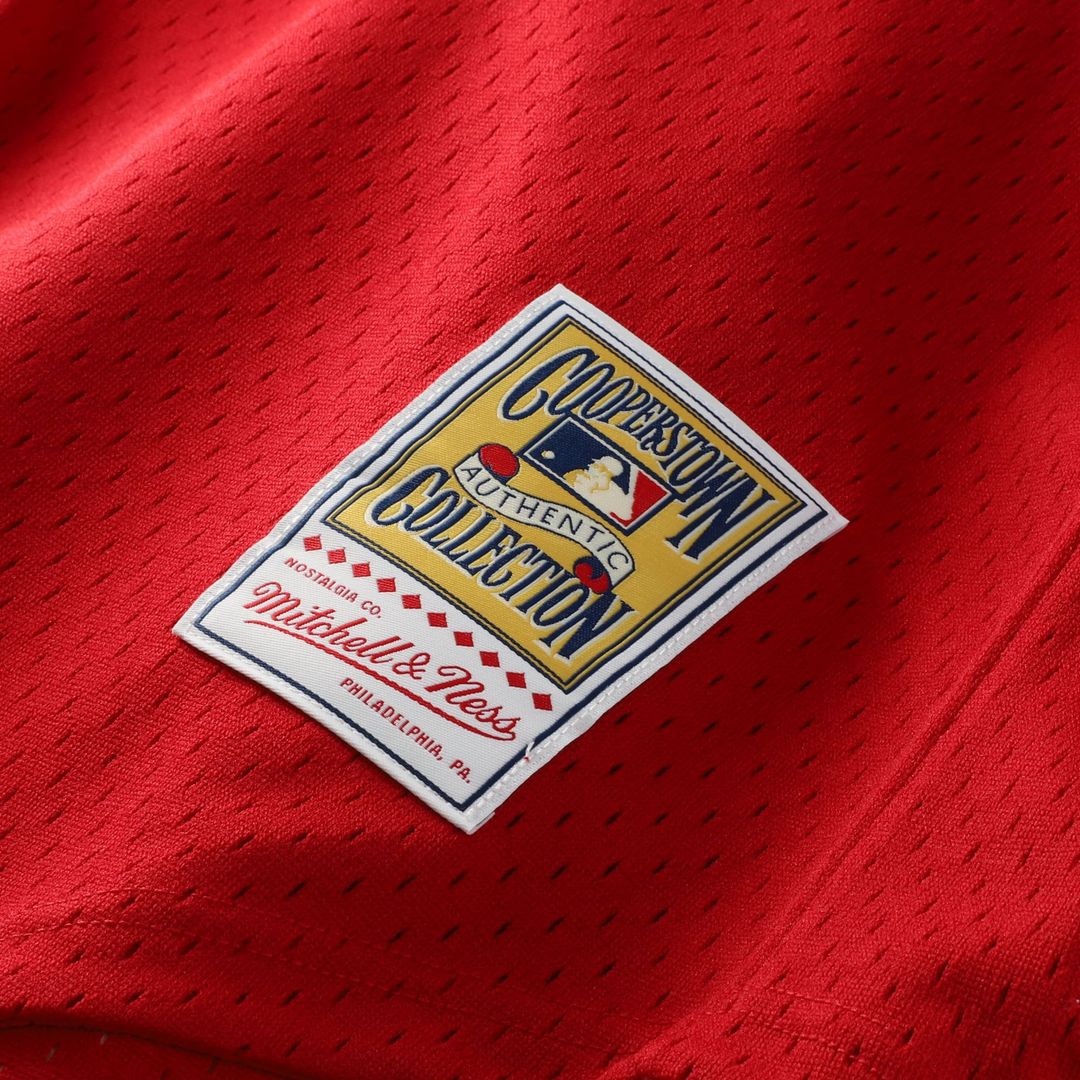St. Louis Cardinals Ozzie Smith Navy Authentic Batting Practice Baseball Jersey | MLB Baseball Jersey