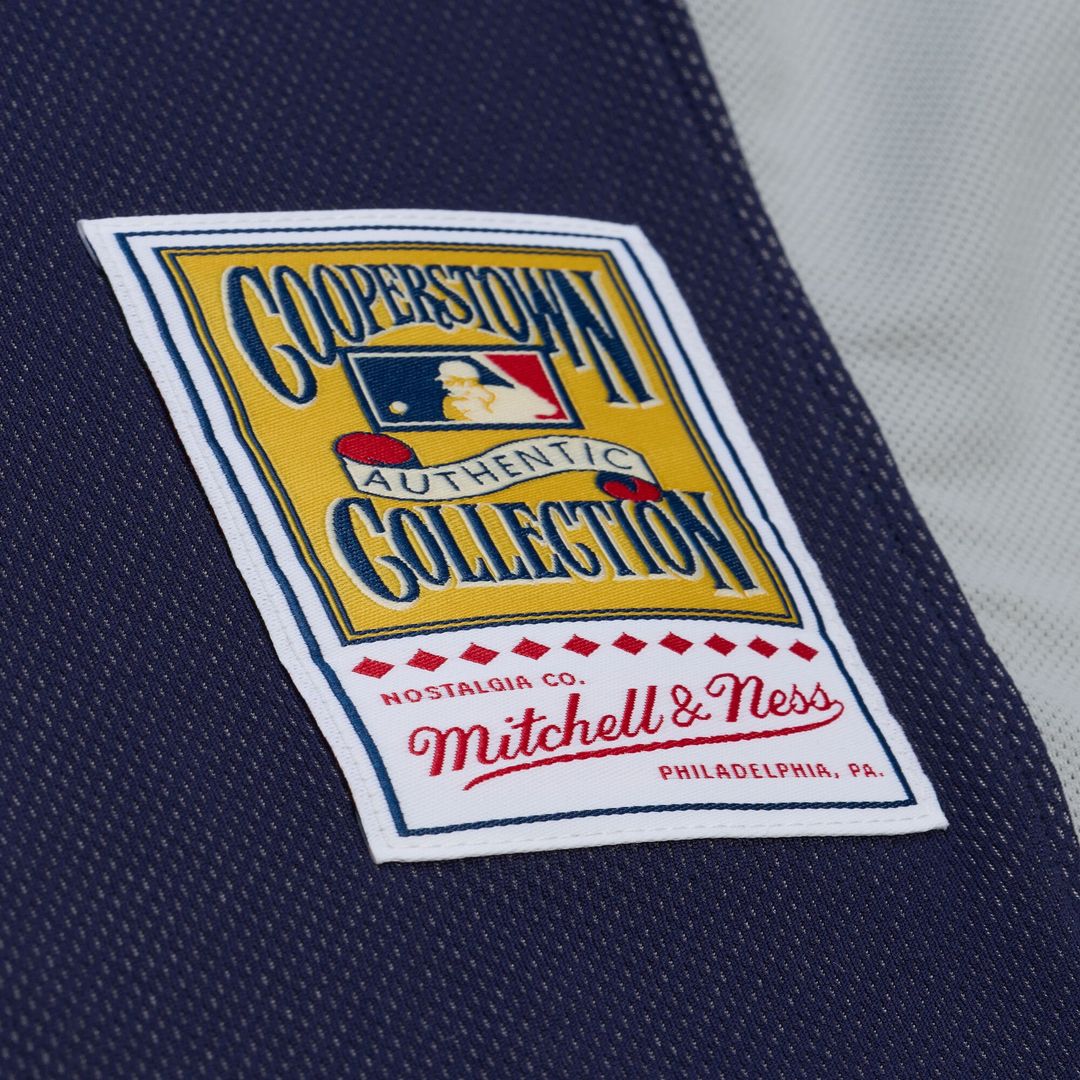 New York Yankees CC Sabathia Navy 2009 Authentic Batting Practice Baseball Jersey | MLB Baseball Jersey