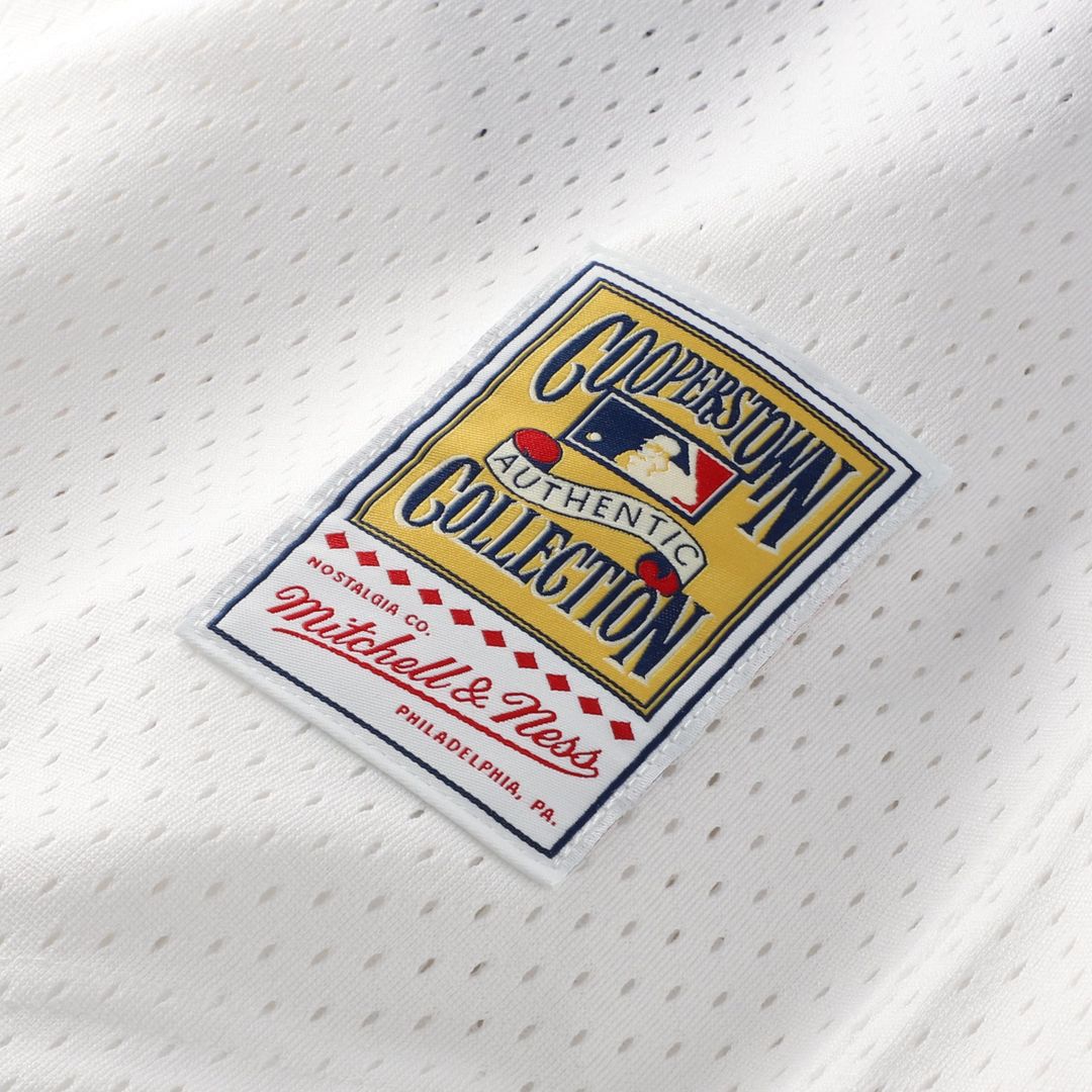Chicago White Sox Carlton Fisk Navy Authentic Batting Practice Baseball Jersey | MLB Baseball Jersey