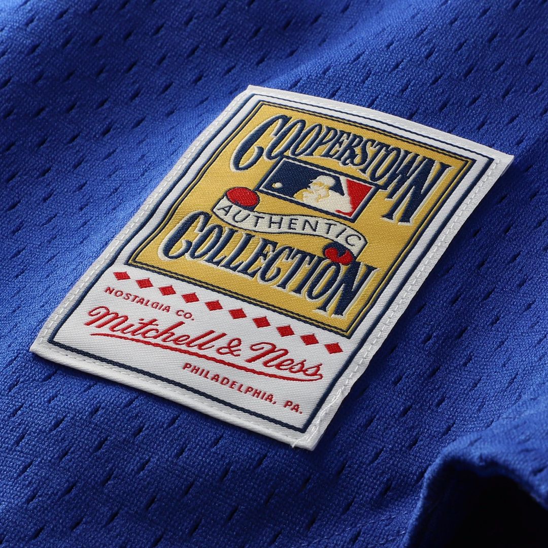 Chicago Cubs Ryne Sandberg Royal Cooperstown Collection 1997 Mesh Batting Practice Button-Up Baseball Jersey | MLB Baseball Jersey