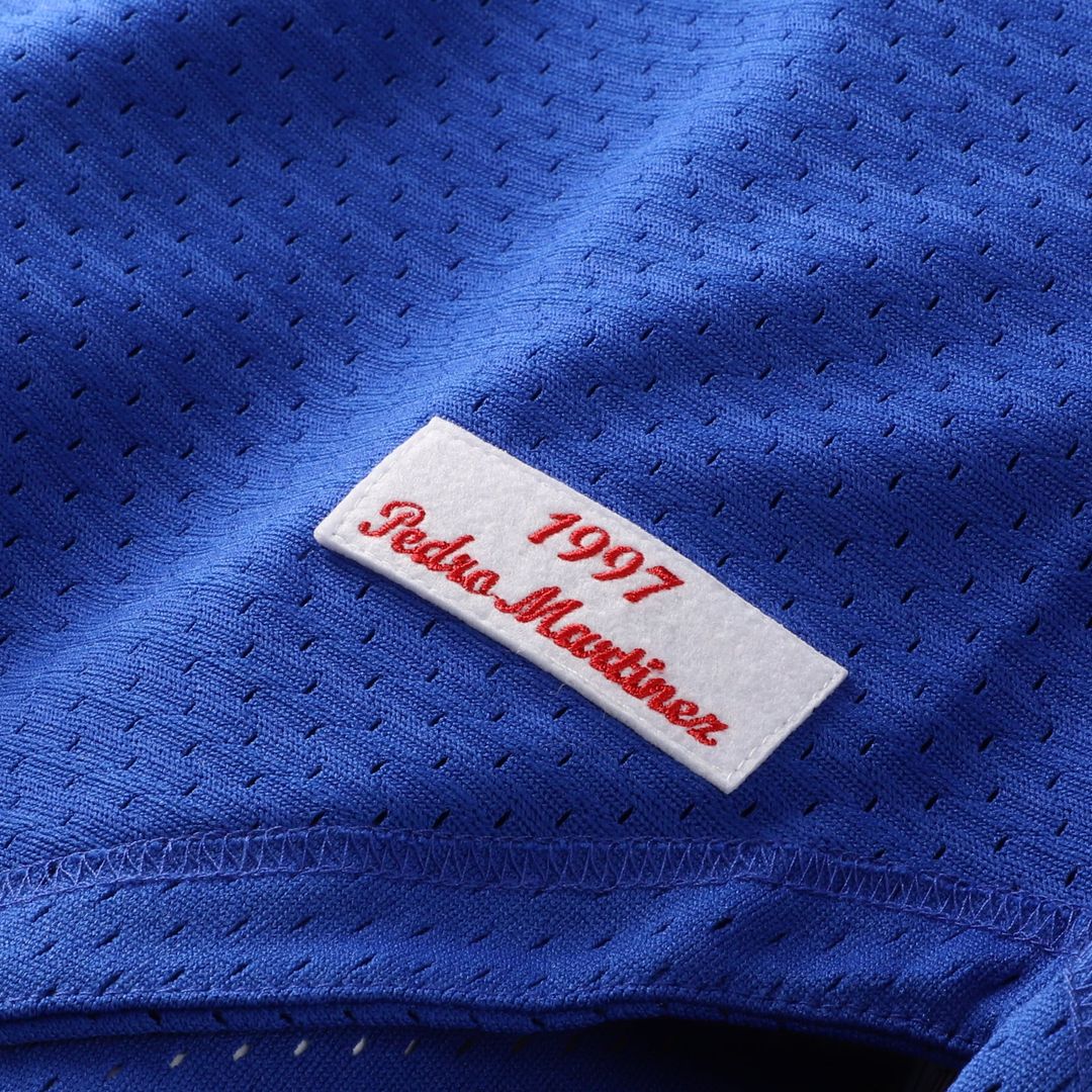 Montreal Expos Pedro Martinez Blue Cooperstown Collection Mesh Batting Practice Button-Up Baseball Jersey | MLB Baseball Jersey