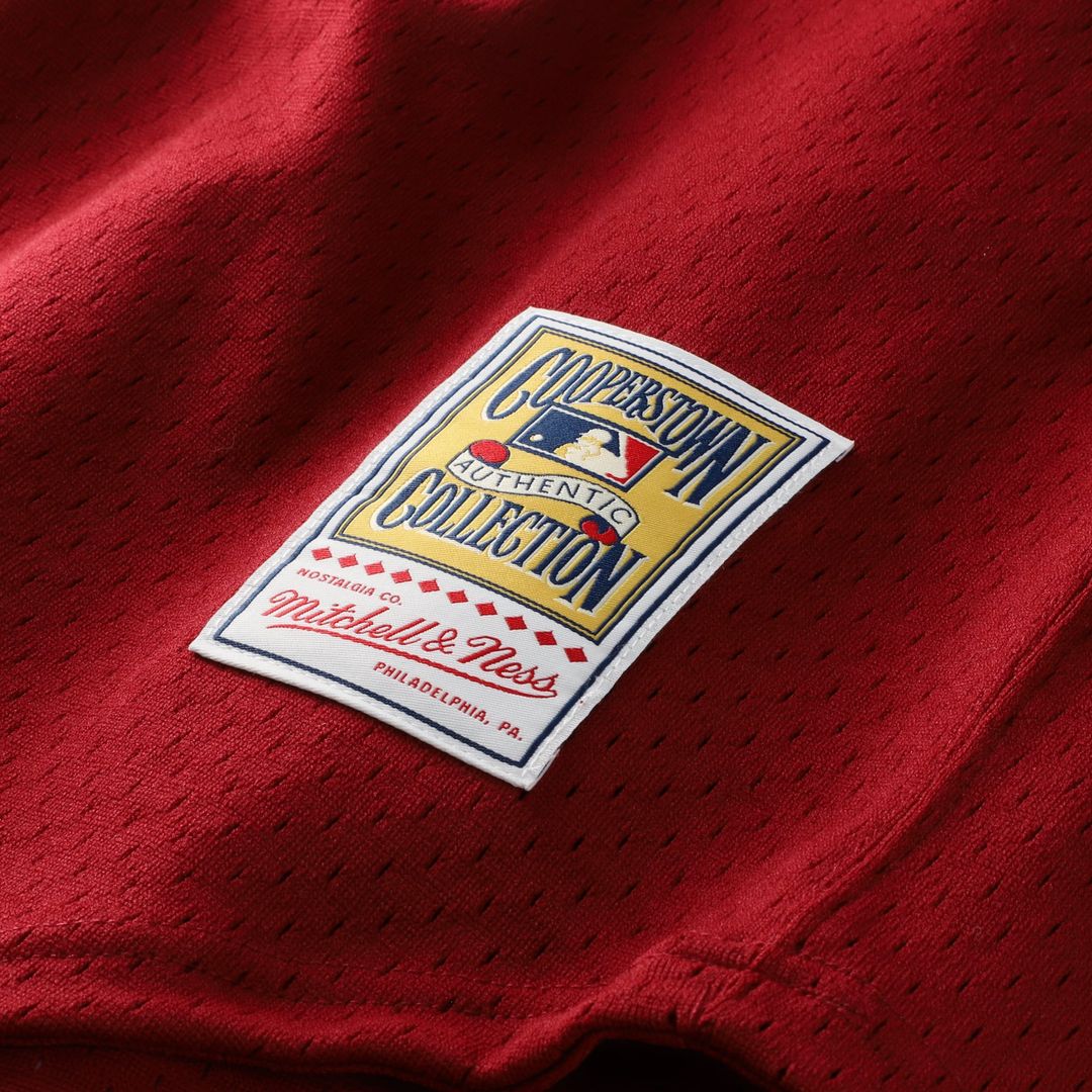 Philadelphia Phillies Darren Daulton Scarlet Authentic Batting Practice Baseball Jersey | MLB Baseball Jersey